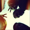 imagebam.com